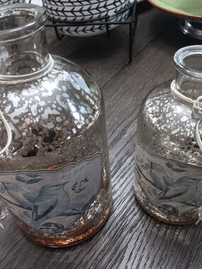 Pair Of Decorative Glass Bottle Vases with Bird Motif - Silver-Bronze